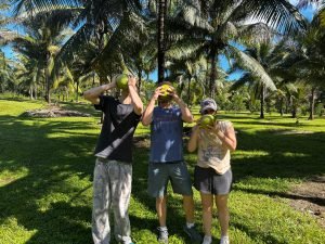 Guests picking coconuts during a nature stay in Belize