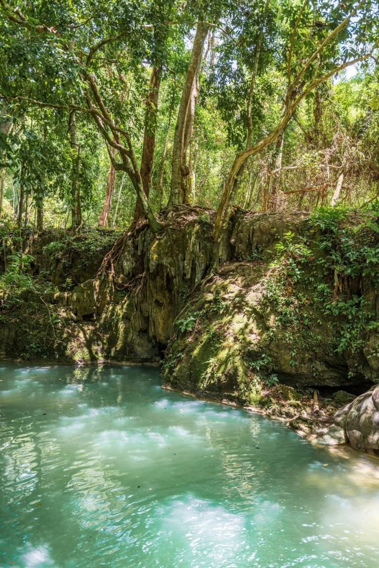 Monkey Falls pool